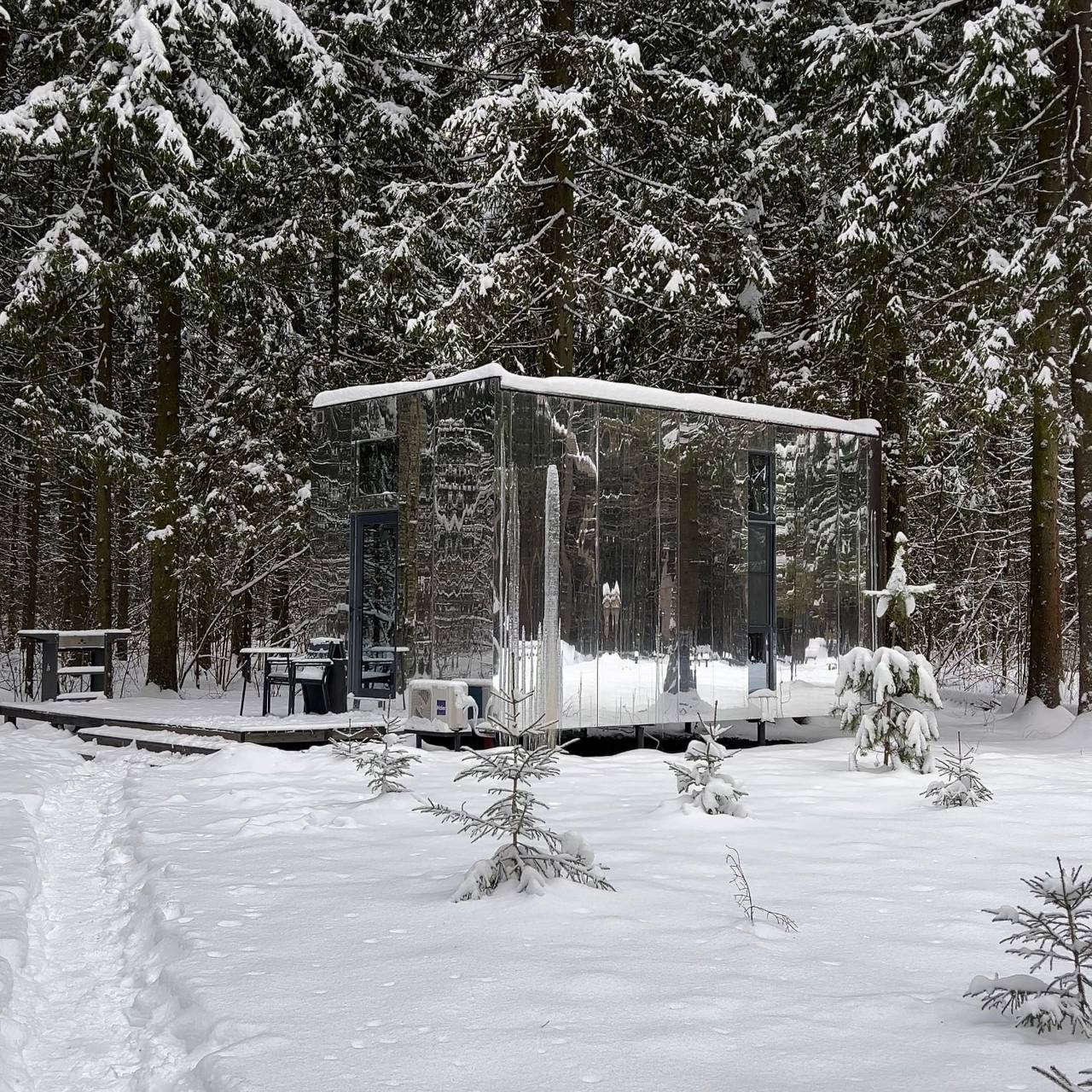 Фото Озеро белых лилий