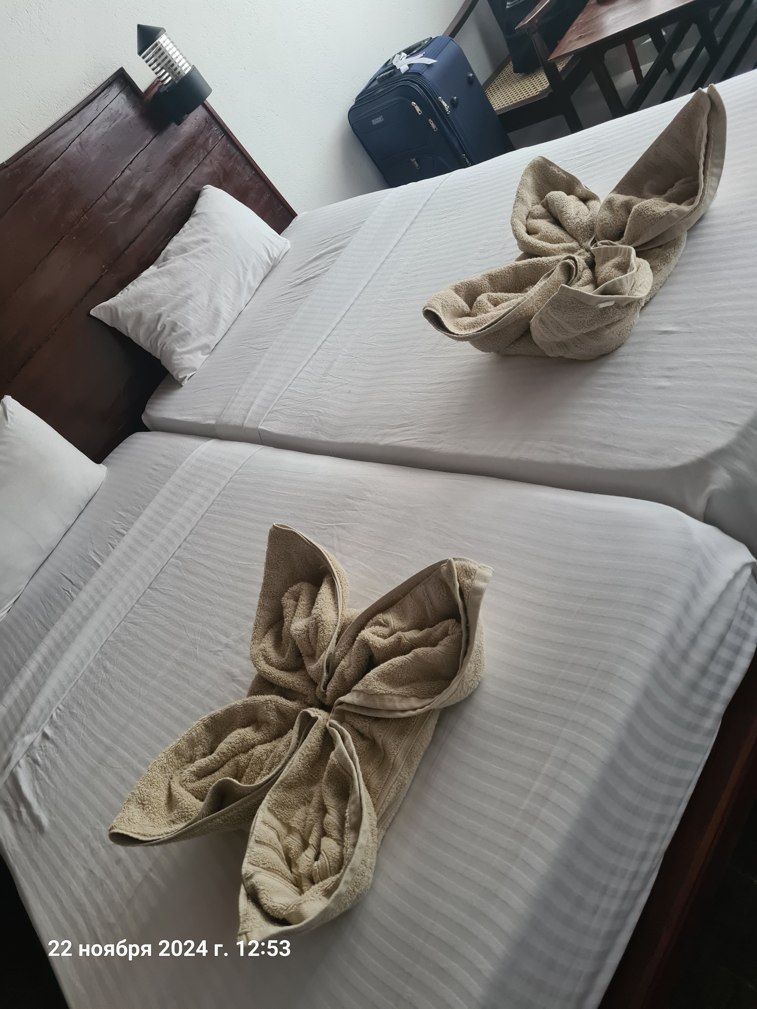 Фото Hotel Lanka Super Corals