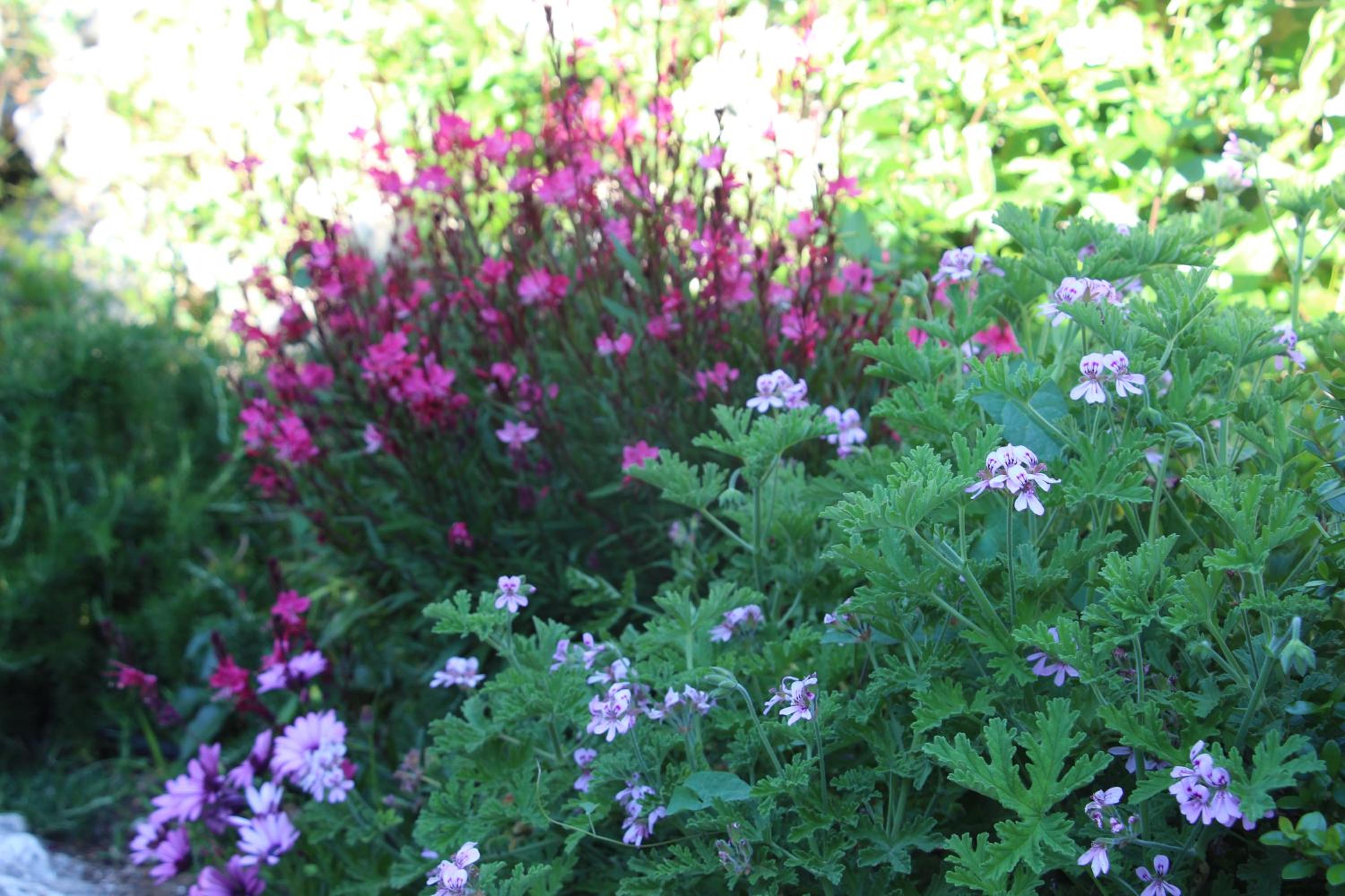 Фото Art Blue Villas