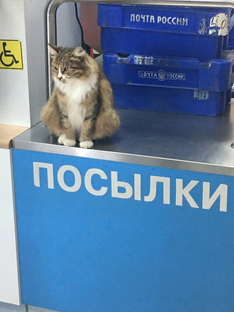 Post office Otdeleniye pochtovoy svyazi Tula 300022, Tula, photo