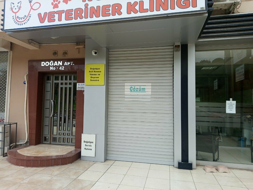 Veterinary clinic Notus, Izmir, photo