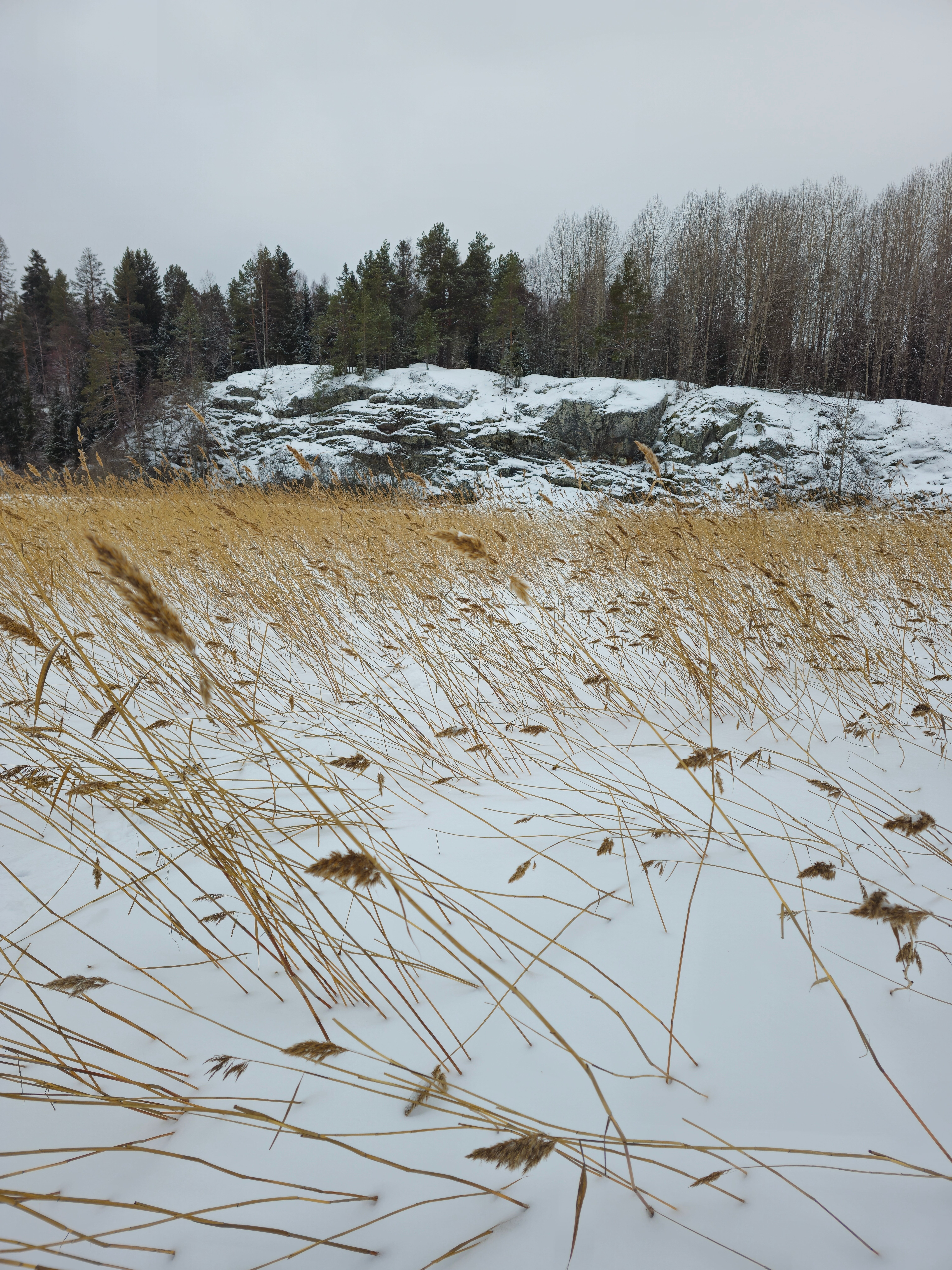 Фото Дом Карелия-Ярви