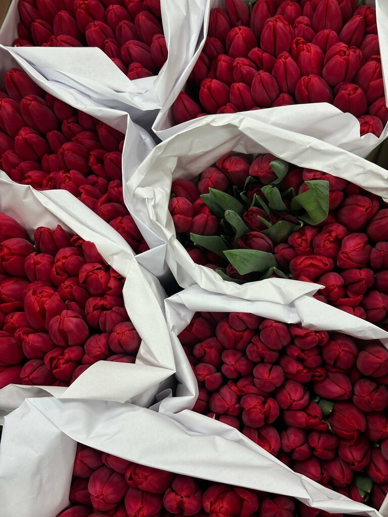 Flower shop TsvetOk flower shop, Petrozavodsk, photo