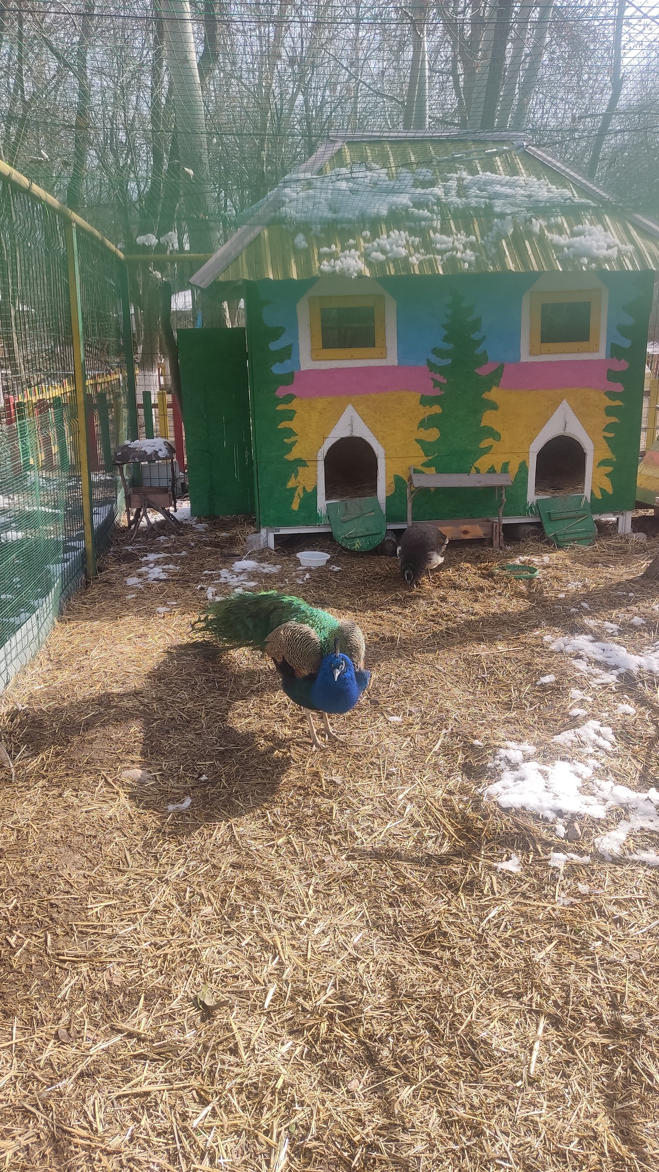 Фото Rano Eco Village