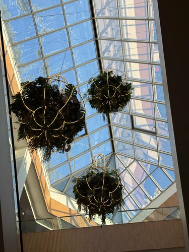 Транни ХХХ өзін соратын