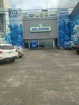 Saltore (Santa Cruz de la Sierra, Avenida El Trompillo, 457), auto parts and auto goods store