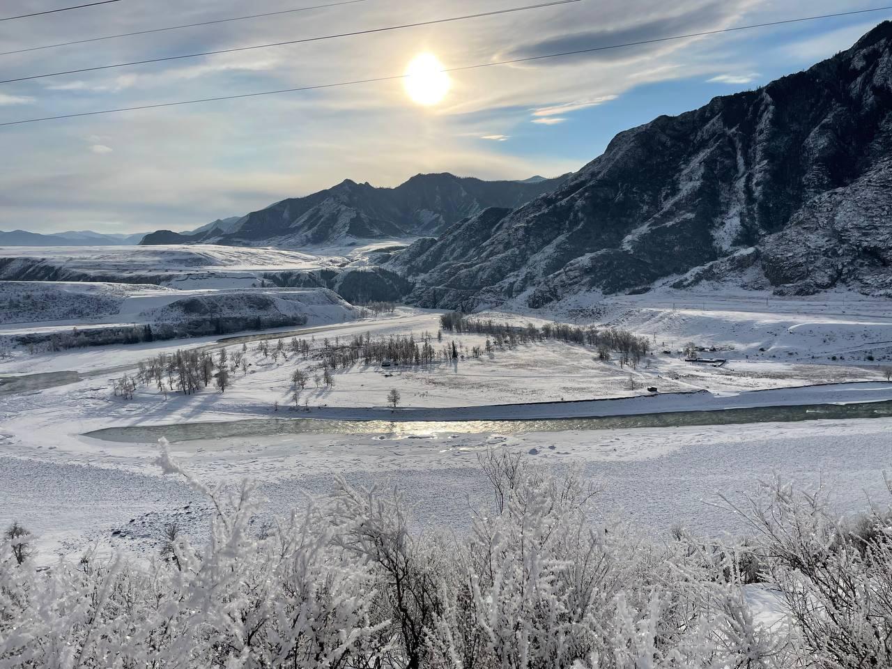 Фото Дикий Еж