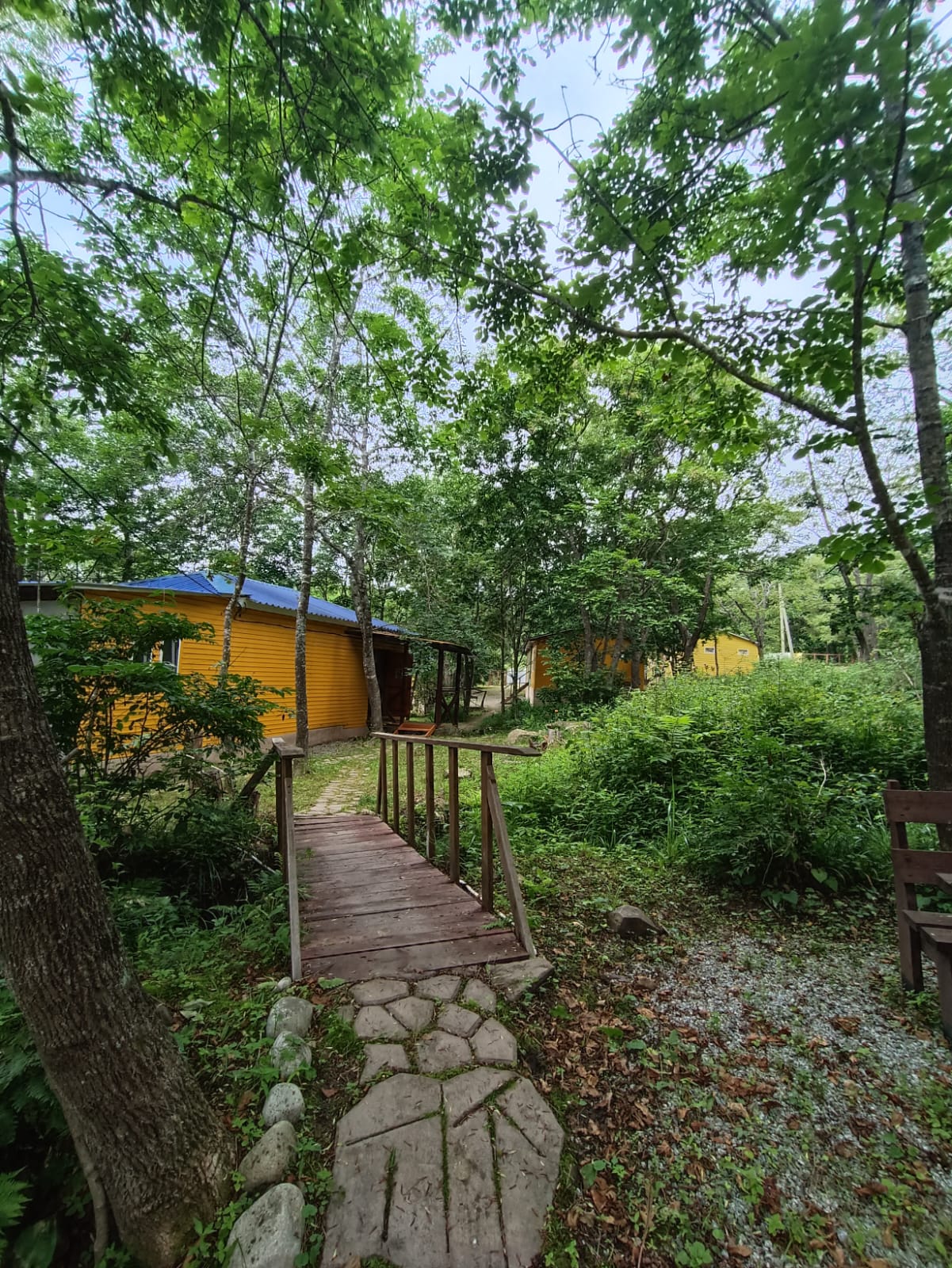 Фото Камень Льва