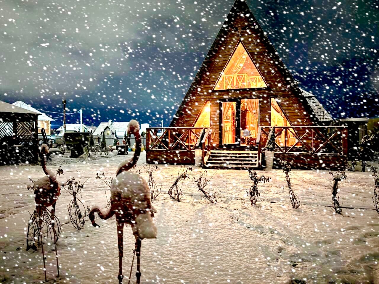 Фото Не тот лес