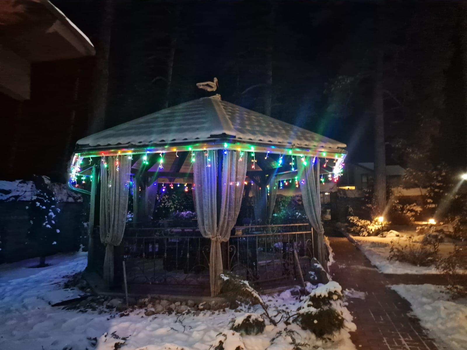 Фото Усадьба Горный Алтай