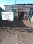 Склад зерна комбикормов (rabochiy posyolok Vyyezdnoye, ulitsa Pushkina, 115), pet shop
