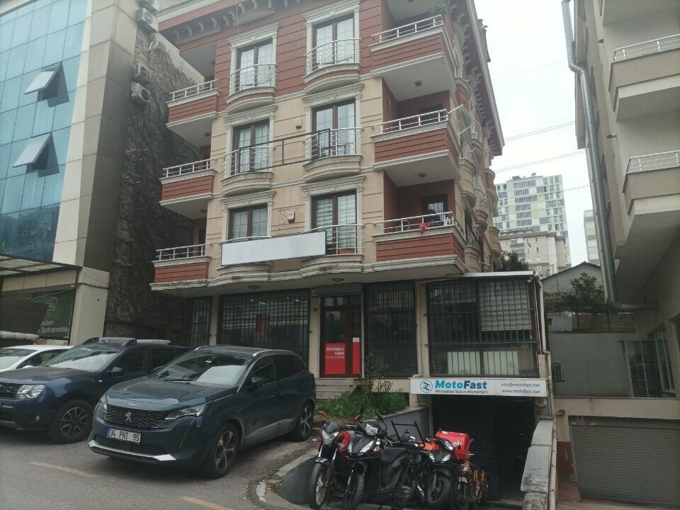 Business consulting Osg Real Estate & Consultancy, Istanbul, photo