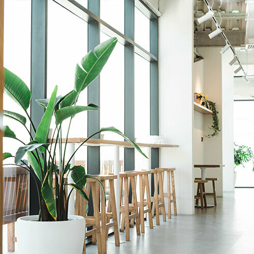 Cafe Smith St Paleo, Dubai, photo