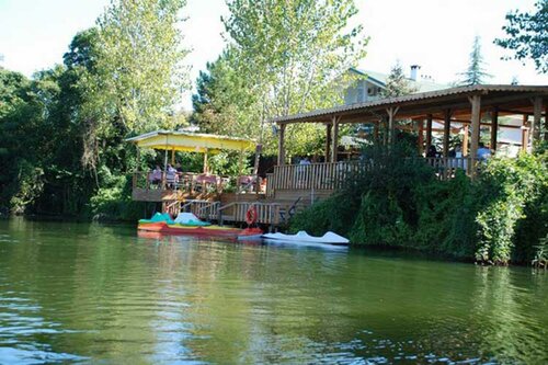 Гостиница Tree Tops Park в Шиле