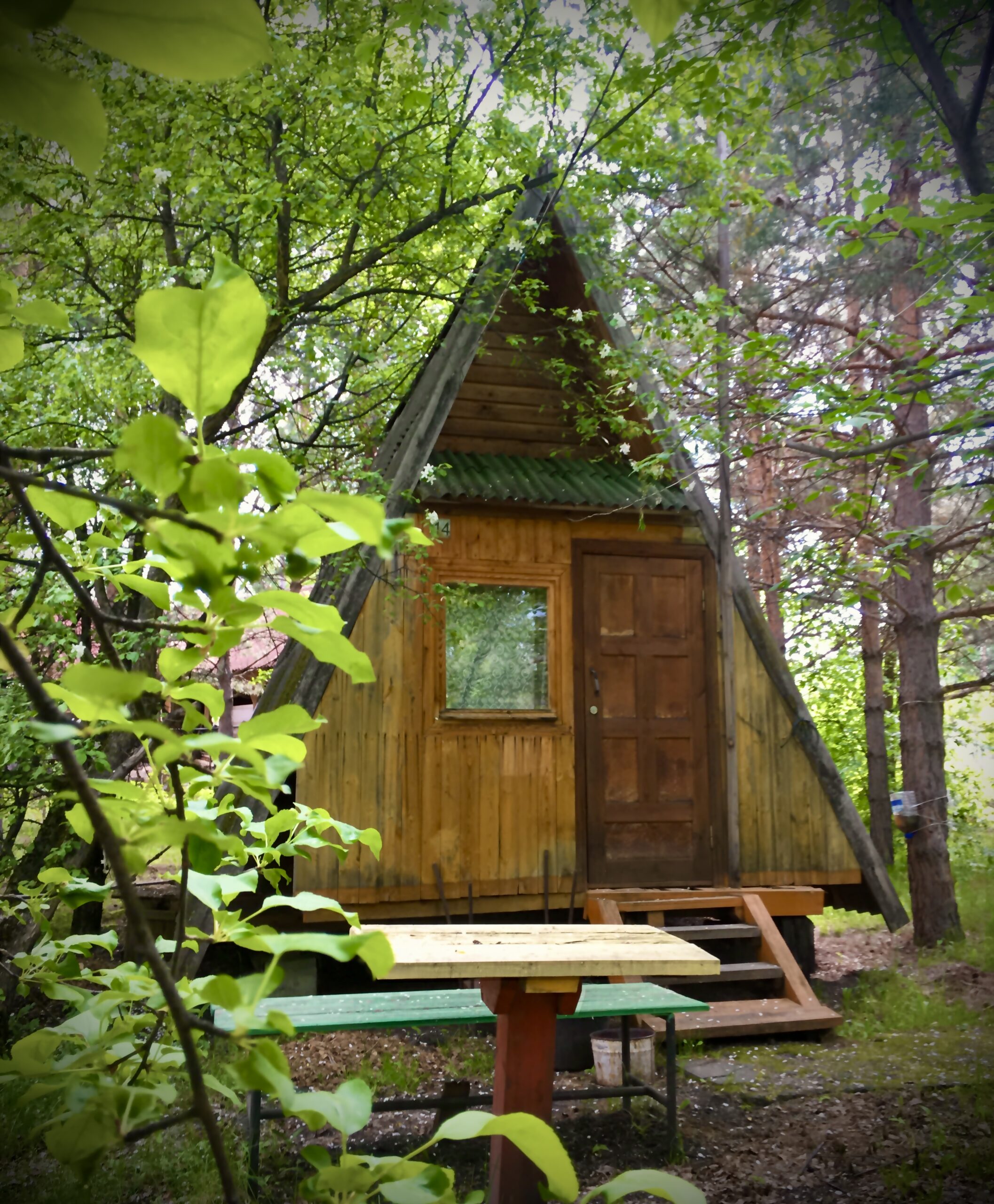 Фото Летний сад