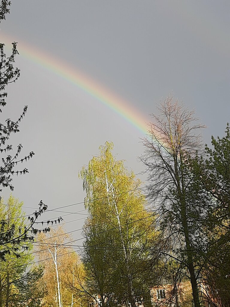 Urban improvement Благоустройство, Lakinsk, photo