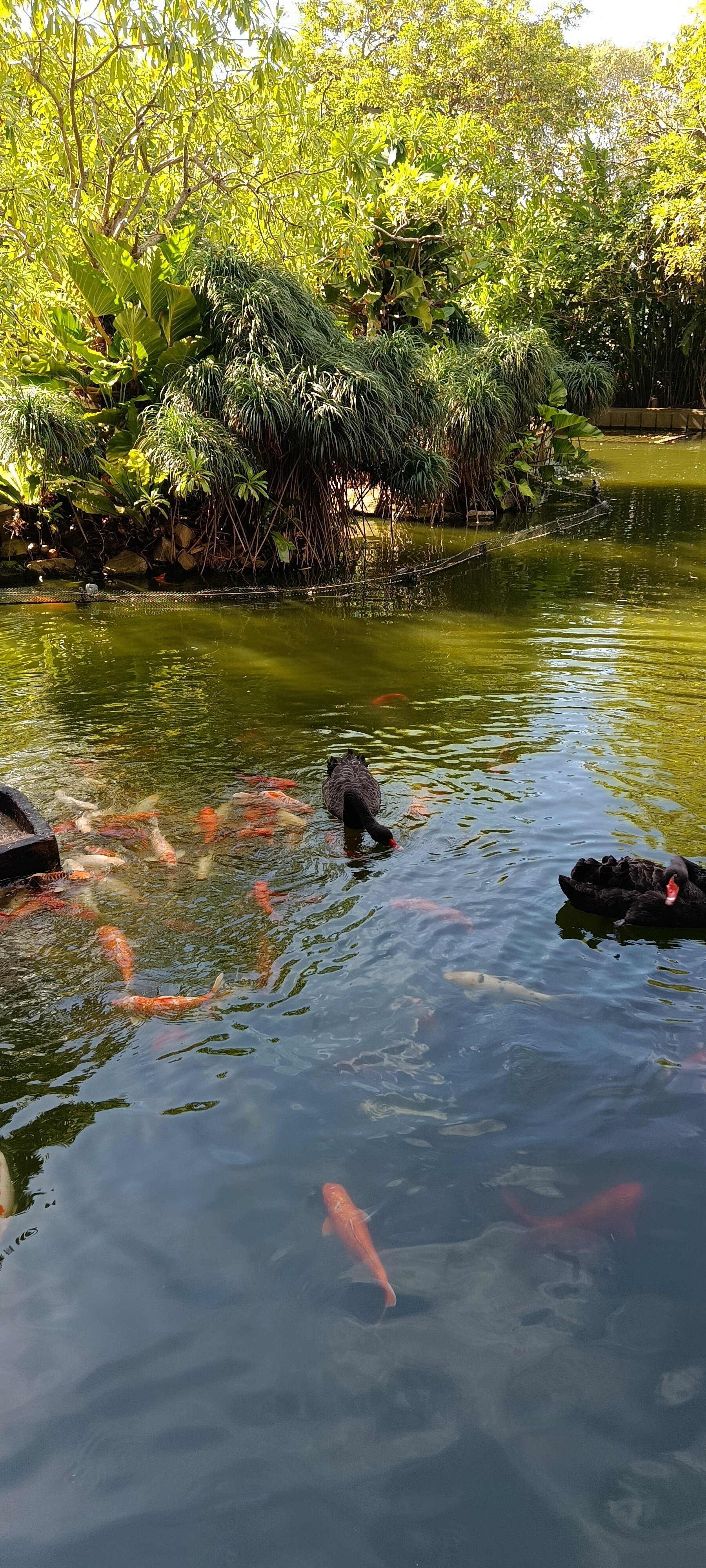 Фото Hilton Colombo