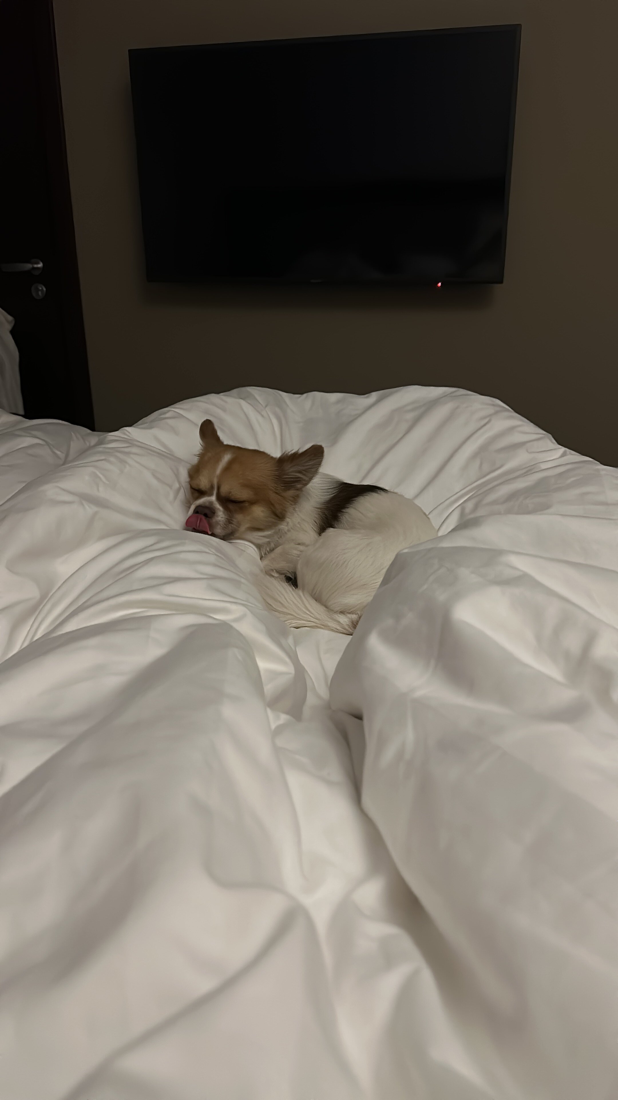 Фото Vasilievsky Hotel