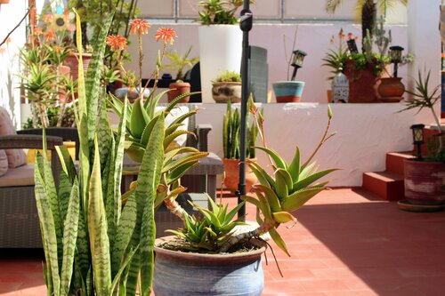 Гостиница Riad Meftaha в Рабате