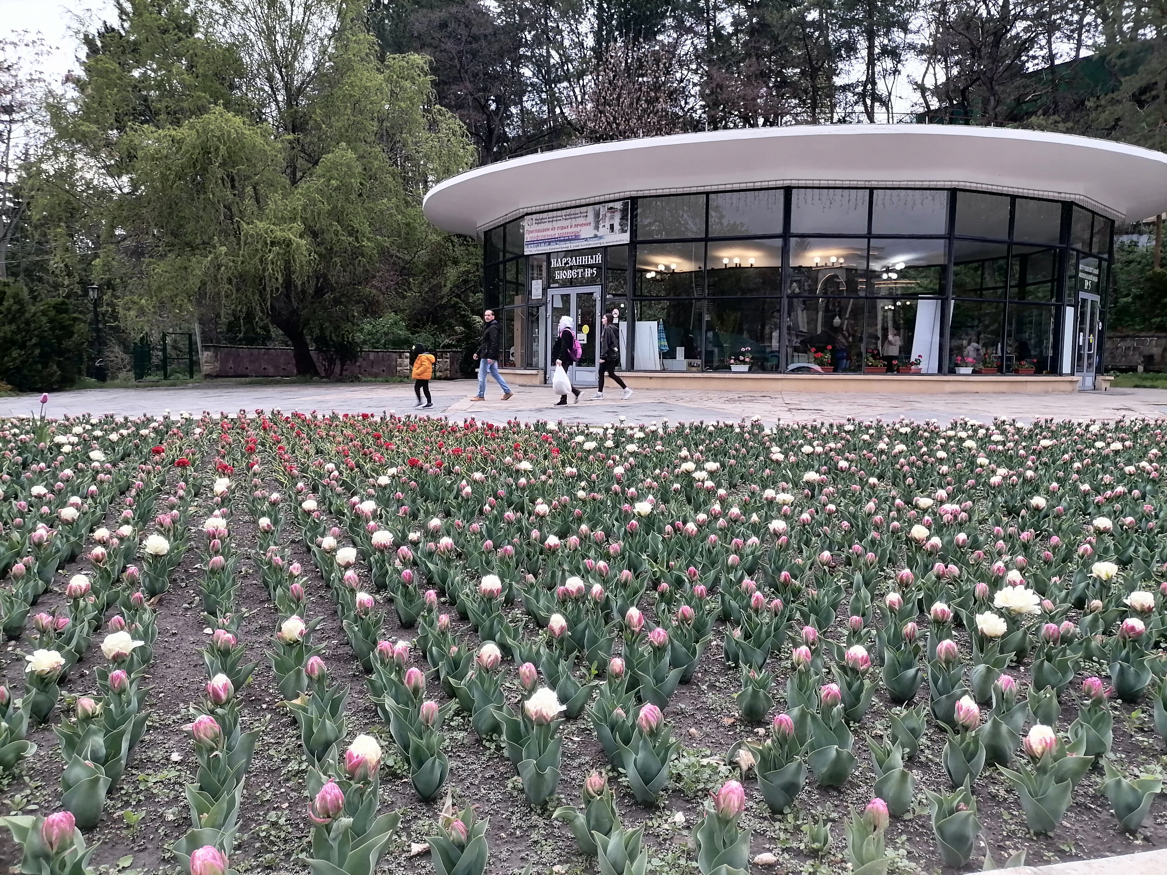 Фото Колизей на Ленина