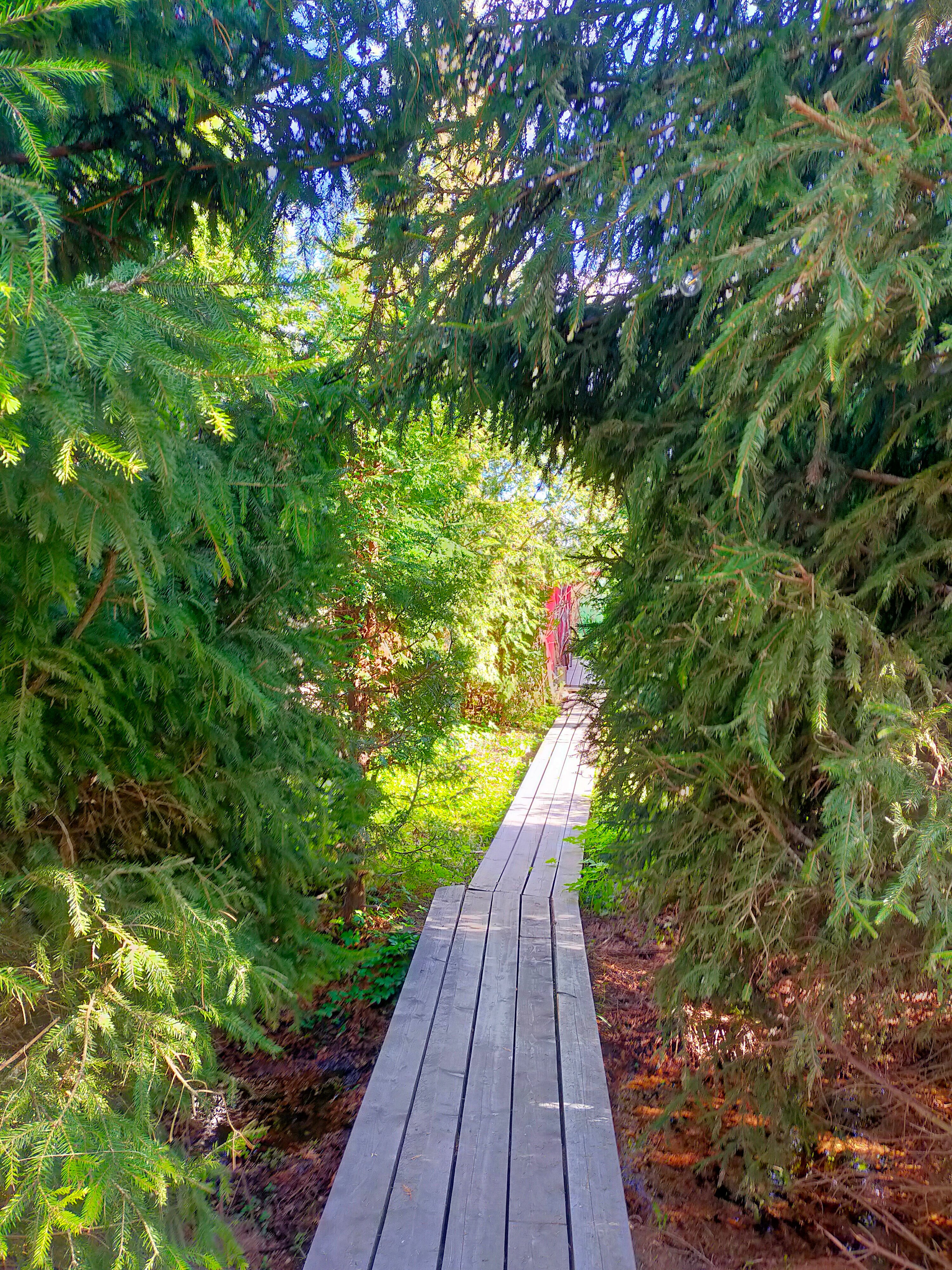 Фото Домики на озере