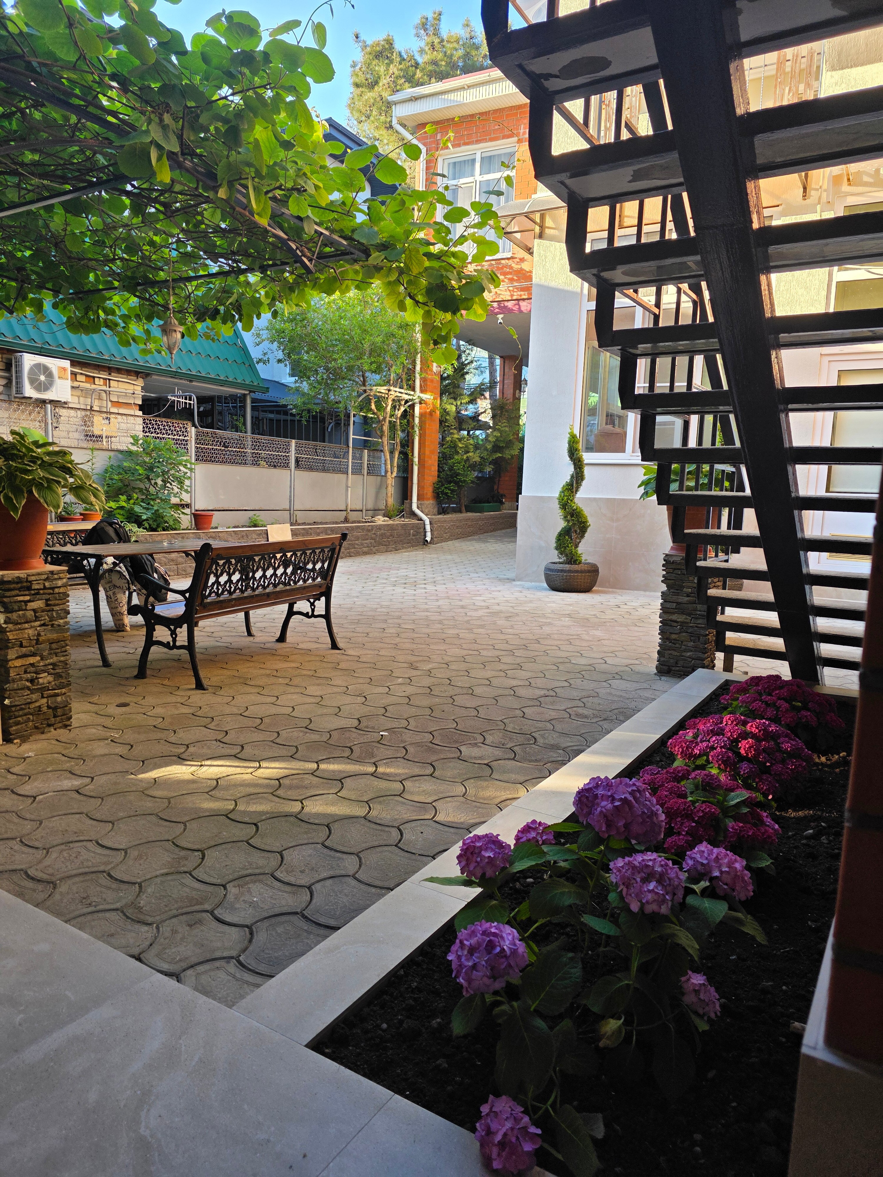 Фото Гостевой дом Цитрус