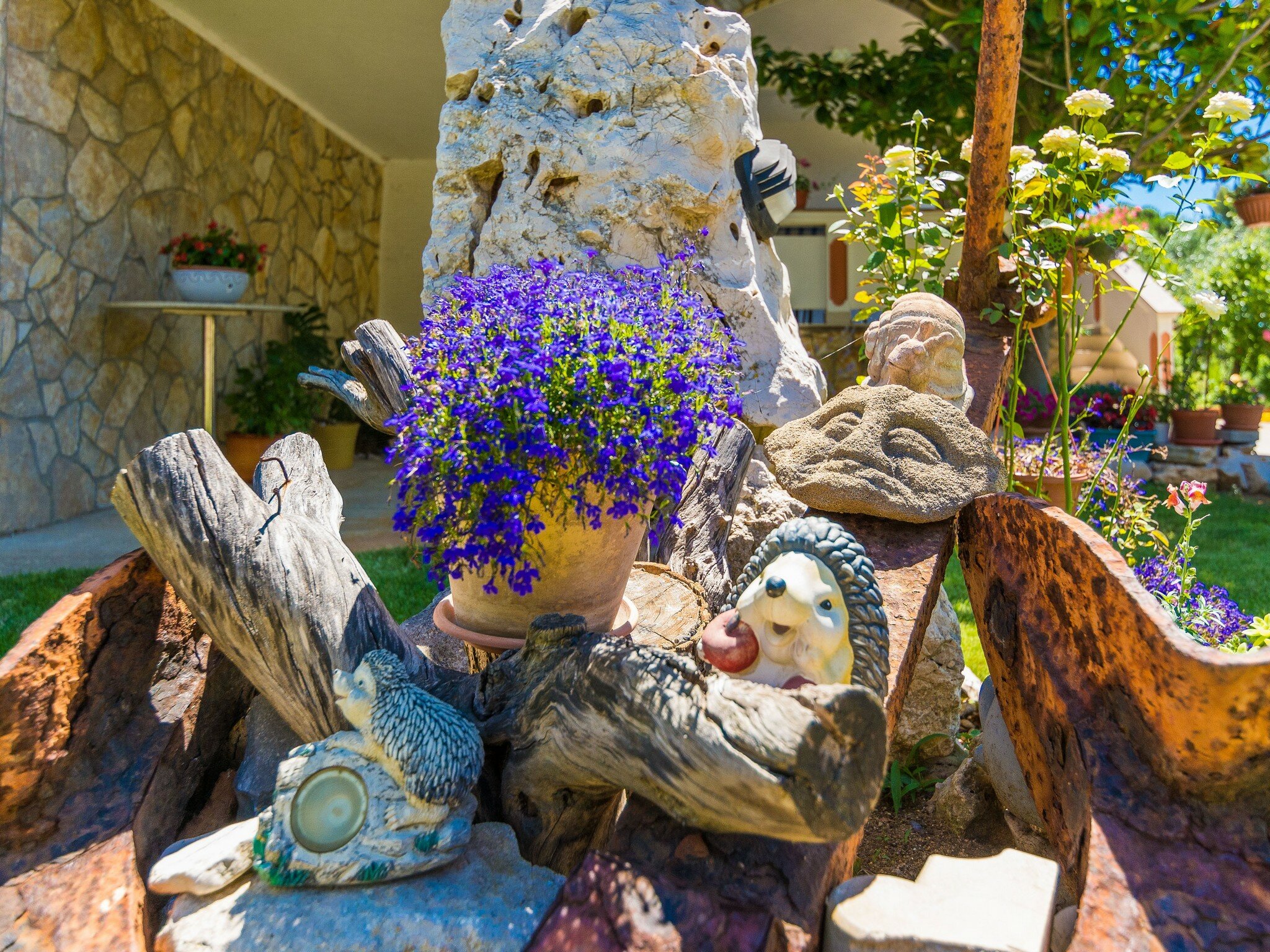 Фото Apartments Blanka