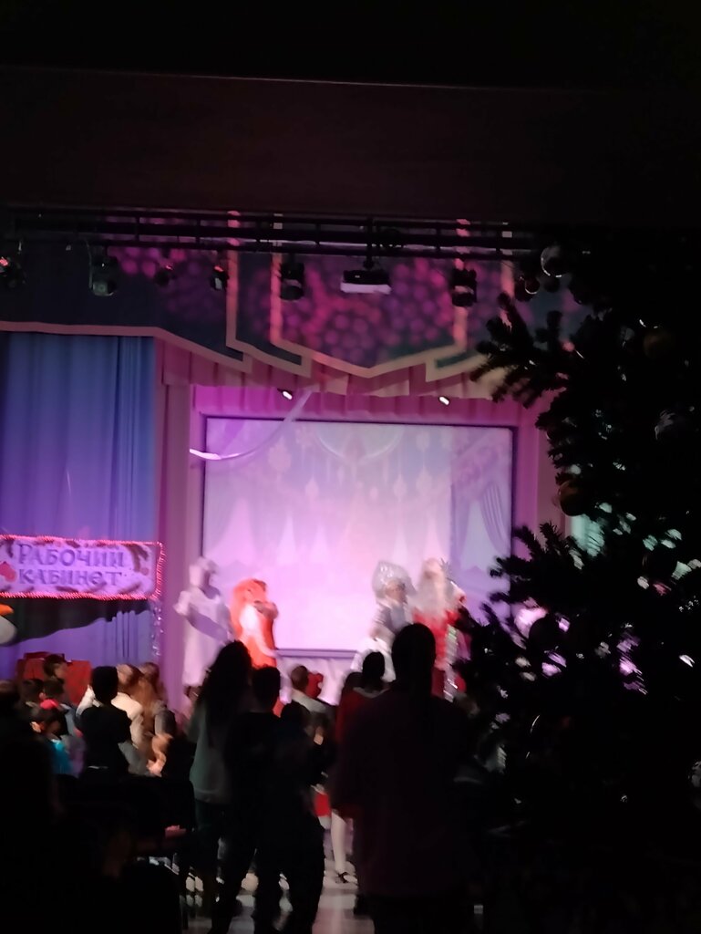 Club para niños y adolescentes GBOU DOD Dvorets Detskogo Tvorchestva Krasnoselskogo rayona, , foto