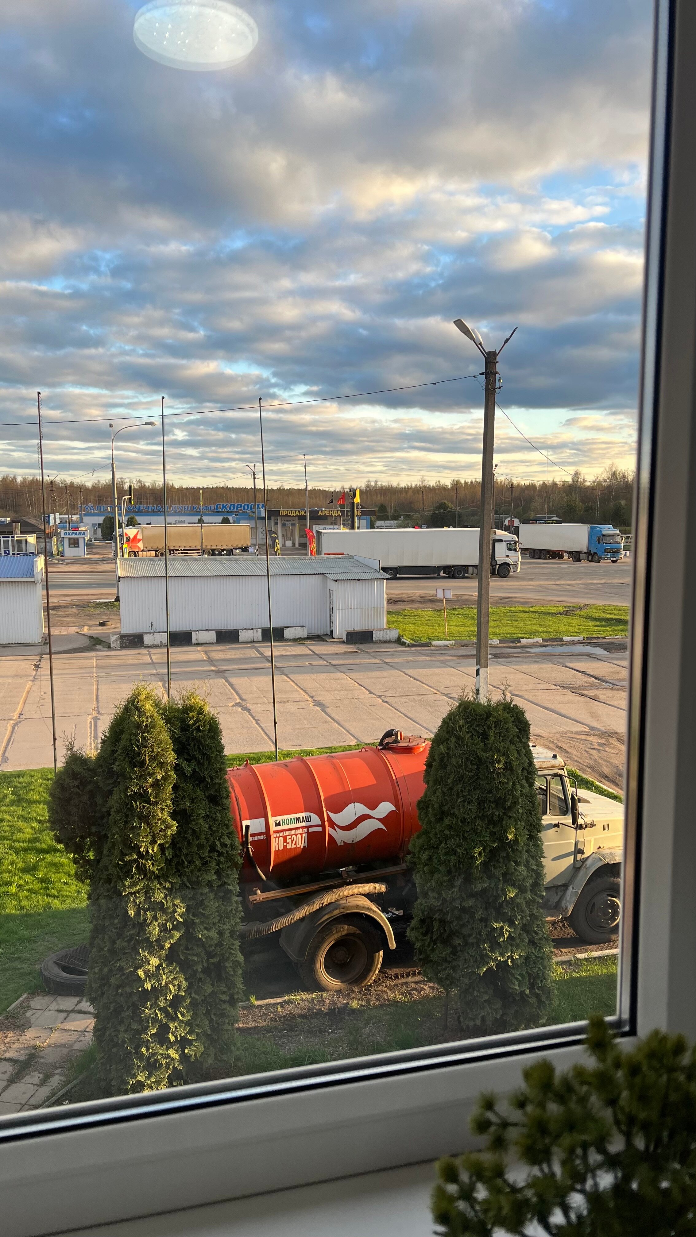 Фото Балтика