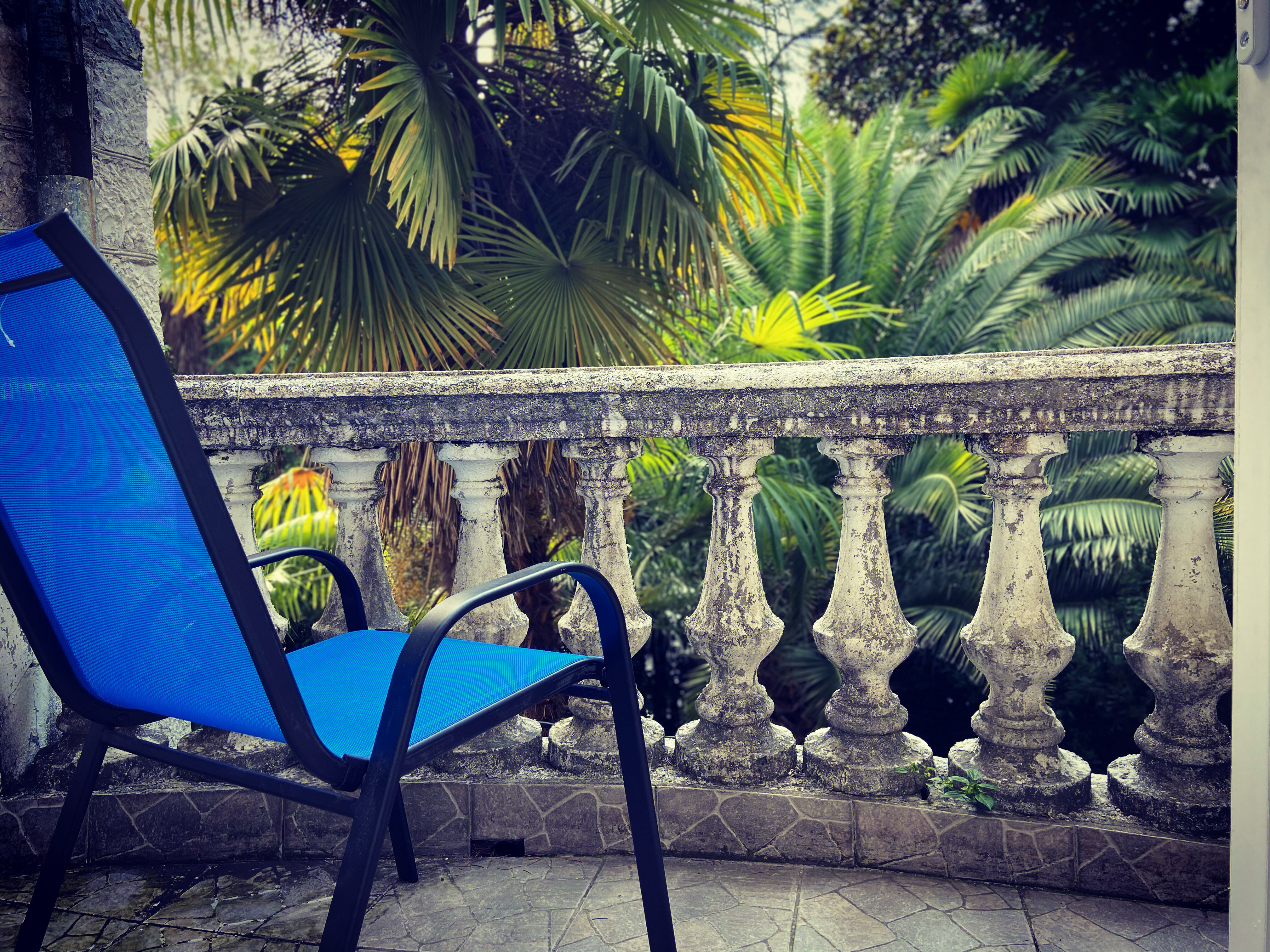 Фото Замок 1910г в Старых Гаграх