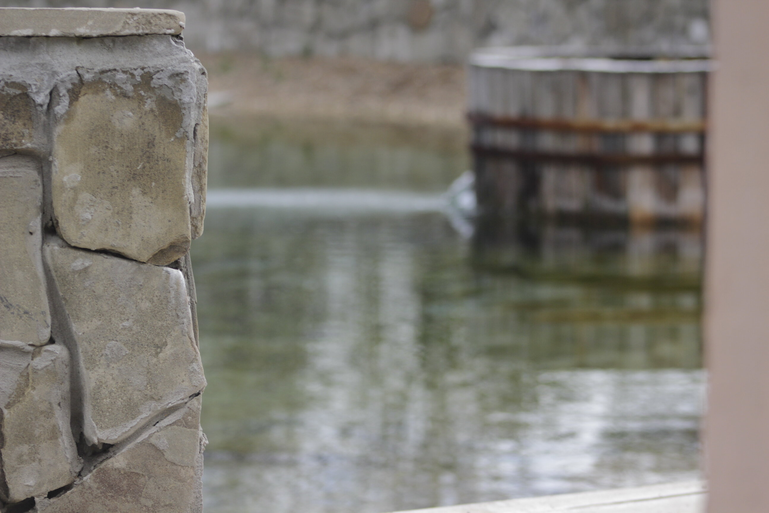 Фото Солониха