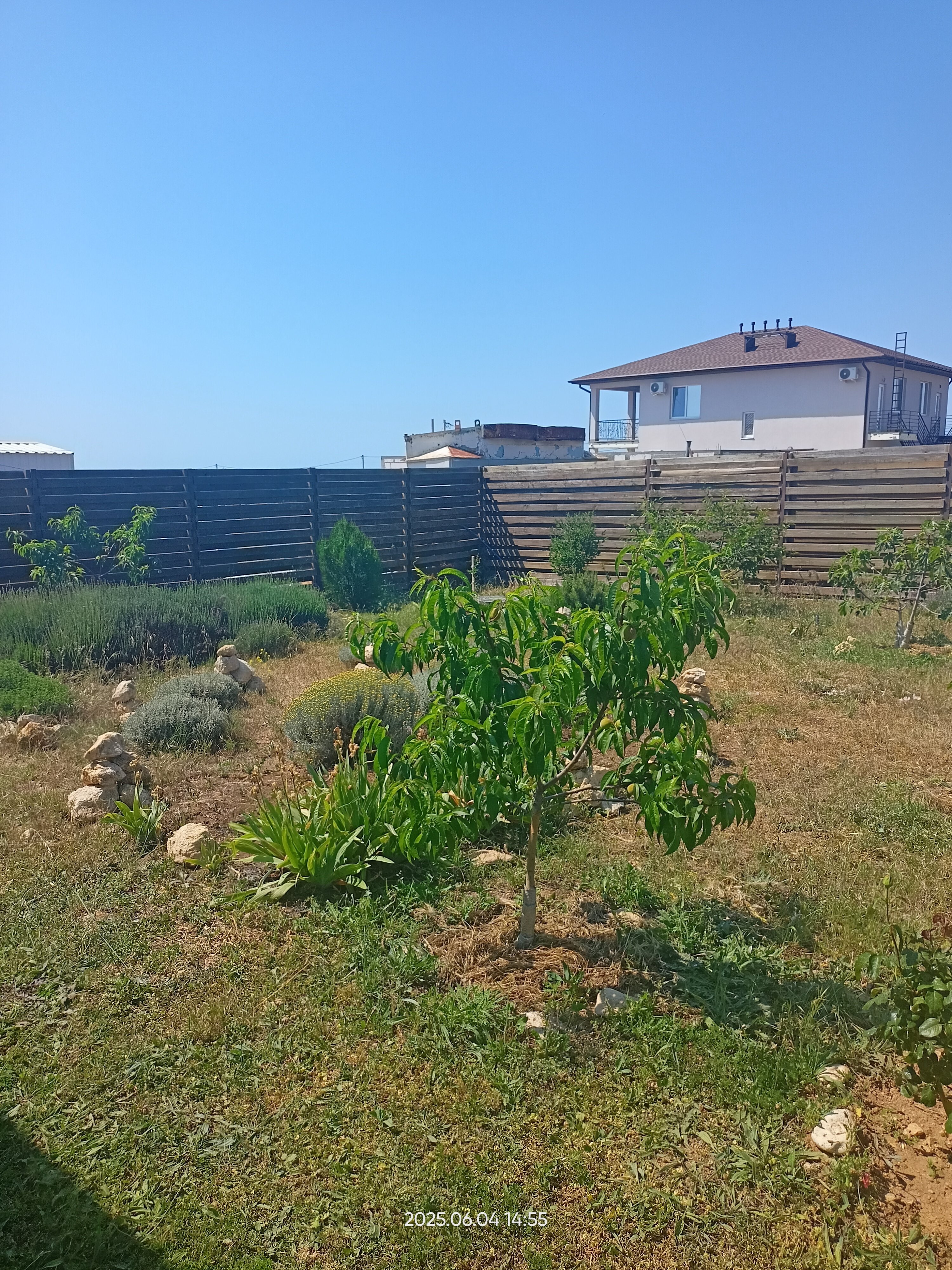 Фото Эко-дом Лаванда