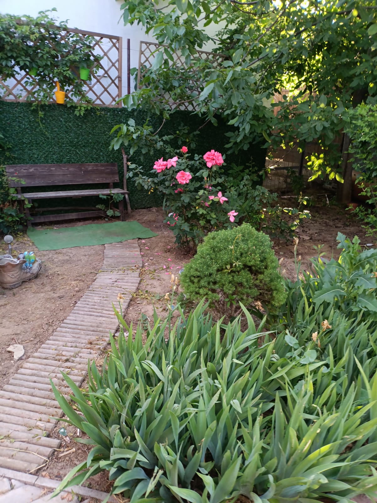 Фото Чудная Долина