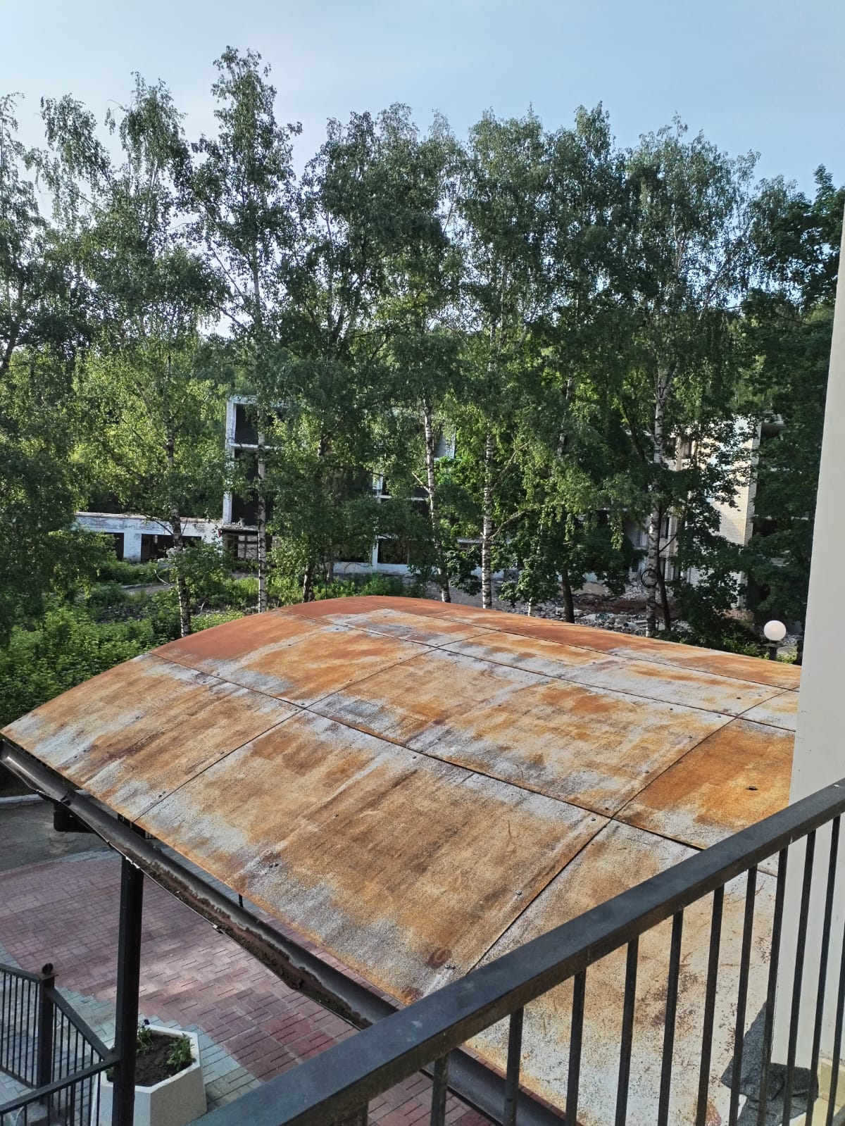 Фото Альпина