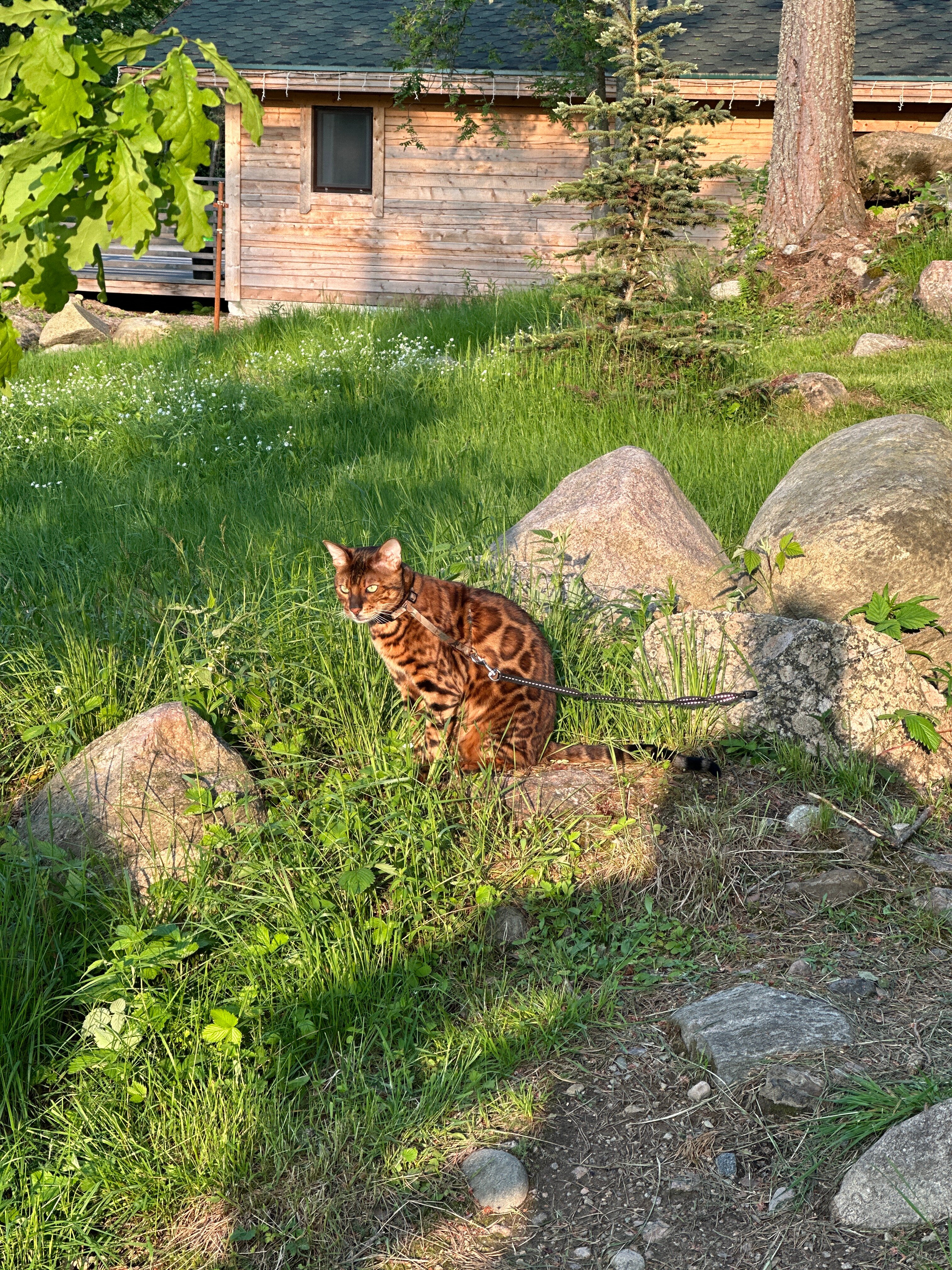 Фото Belka Village