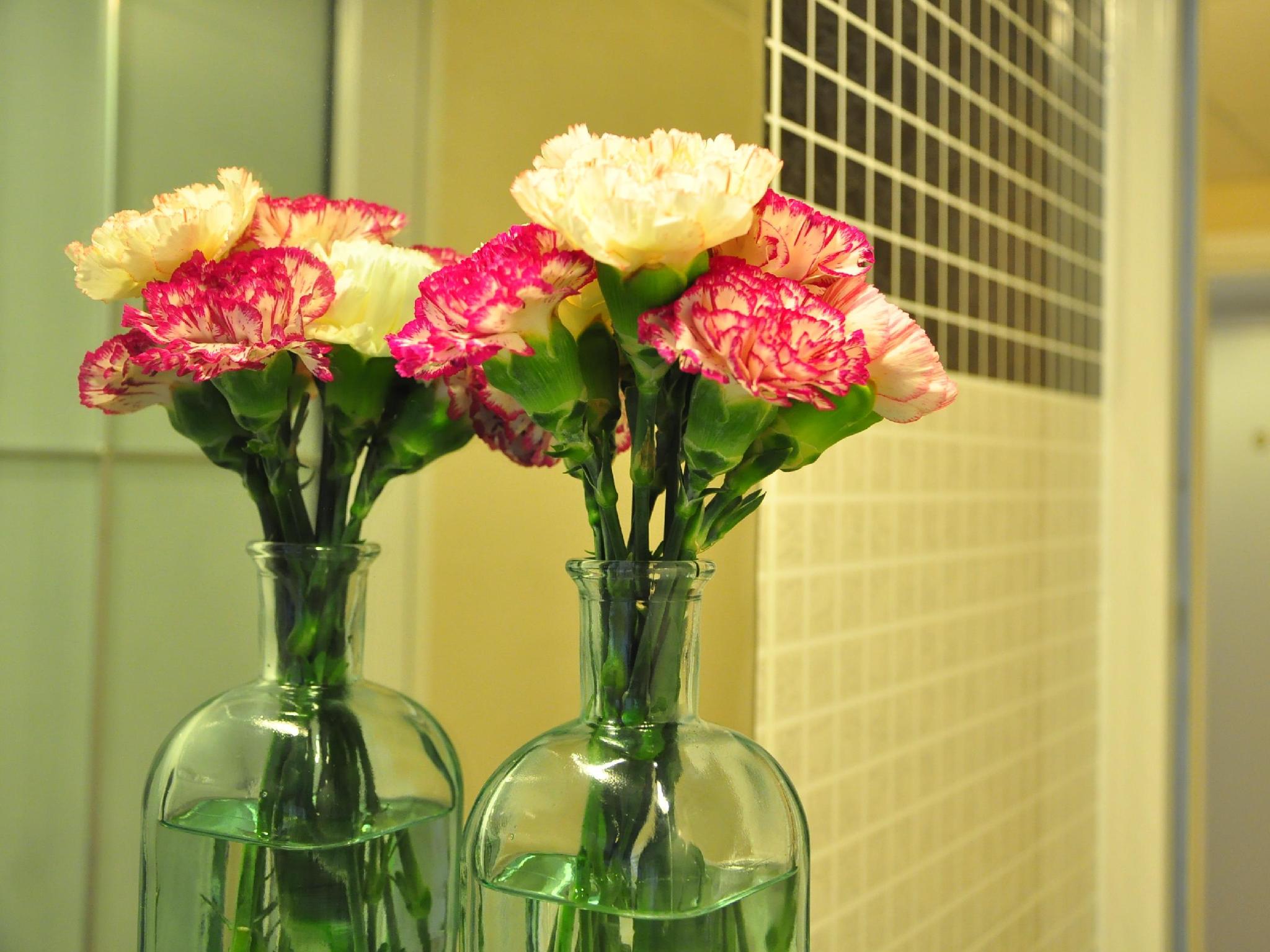 Фото Lyton House