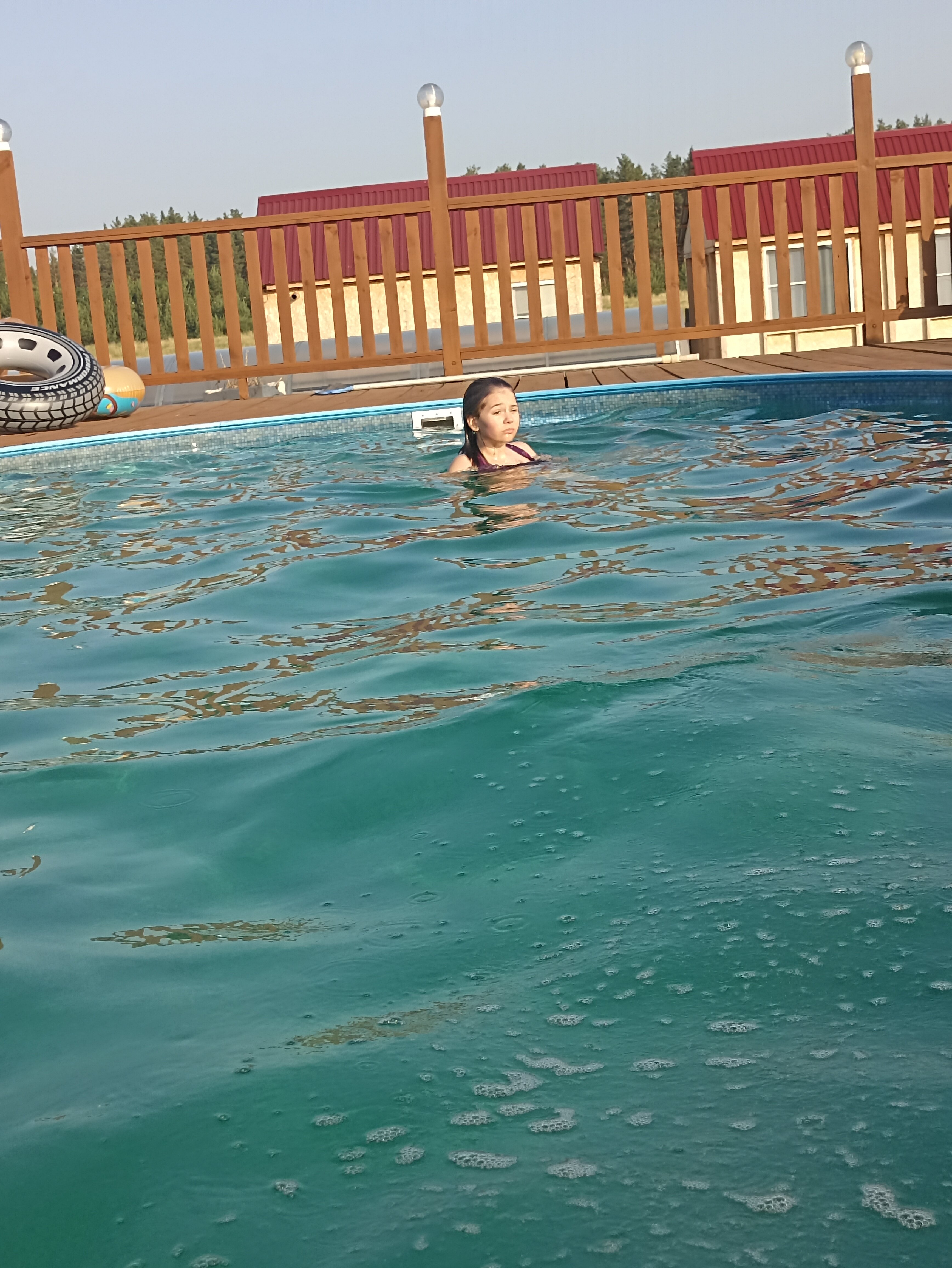 Фото Фламинго