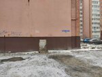 Доктор Ушакова (Stroiteley Avenue, 23) ، اعتلال العظام