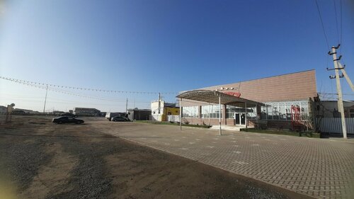 Әйелді жыныстық қатынасқа ауыстыру 6