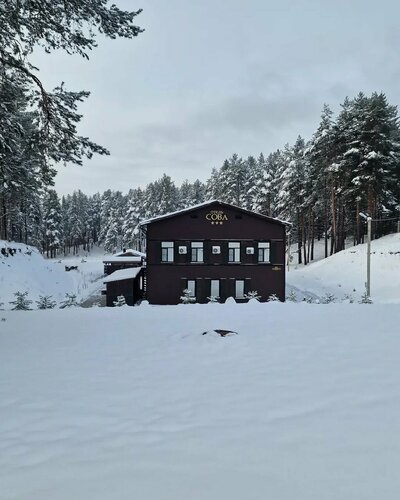 Гостиница Сова в Псковской области