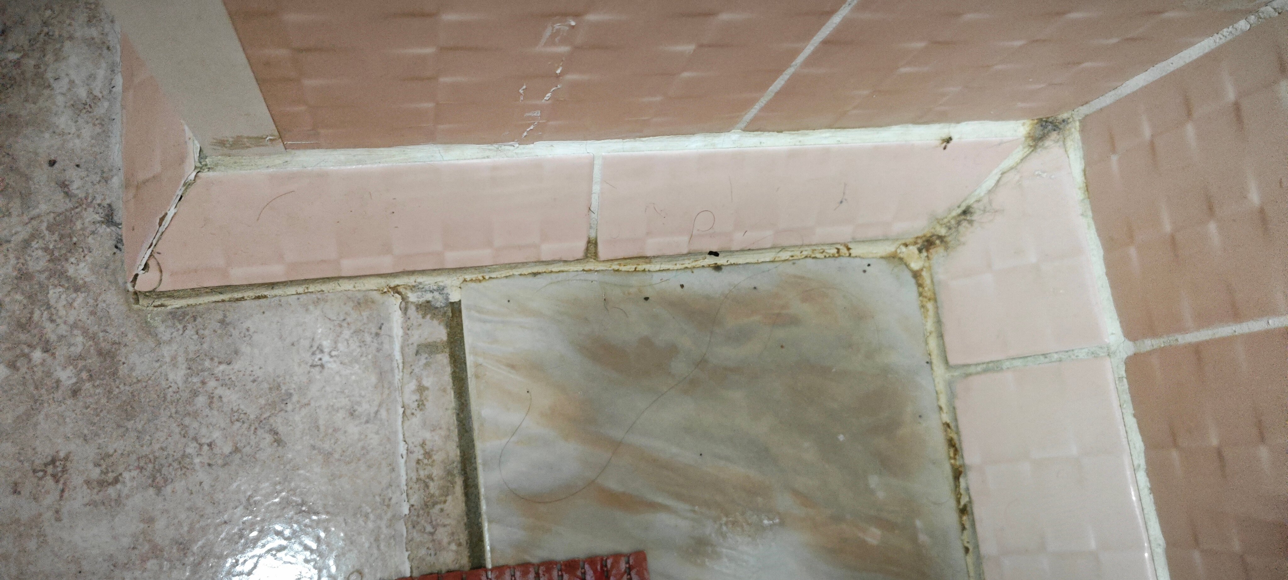 Фото Восток