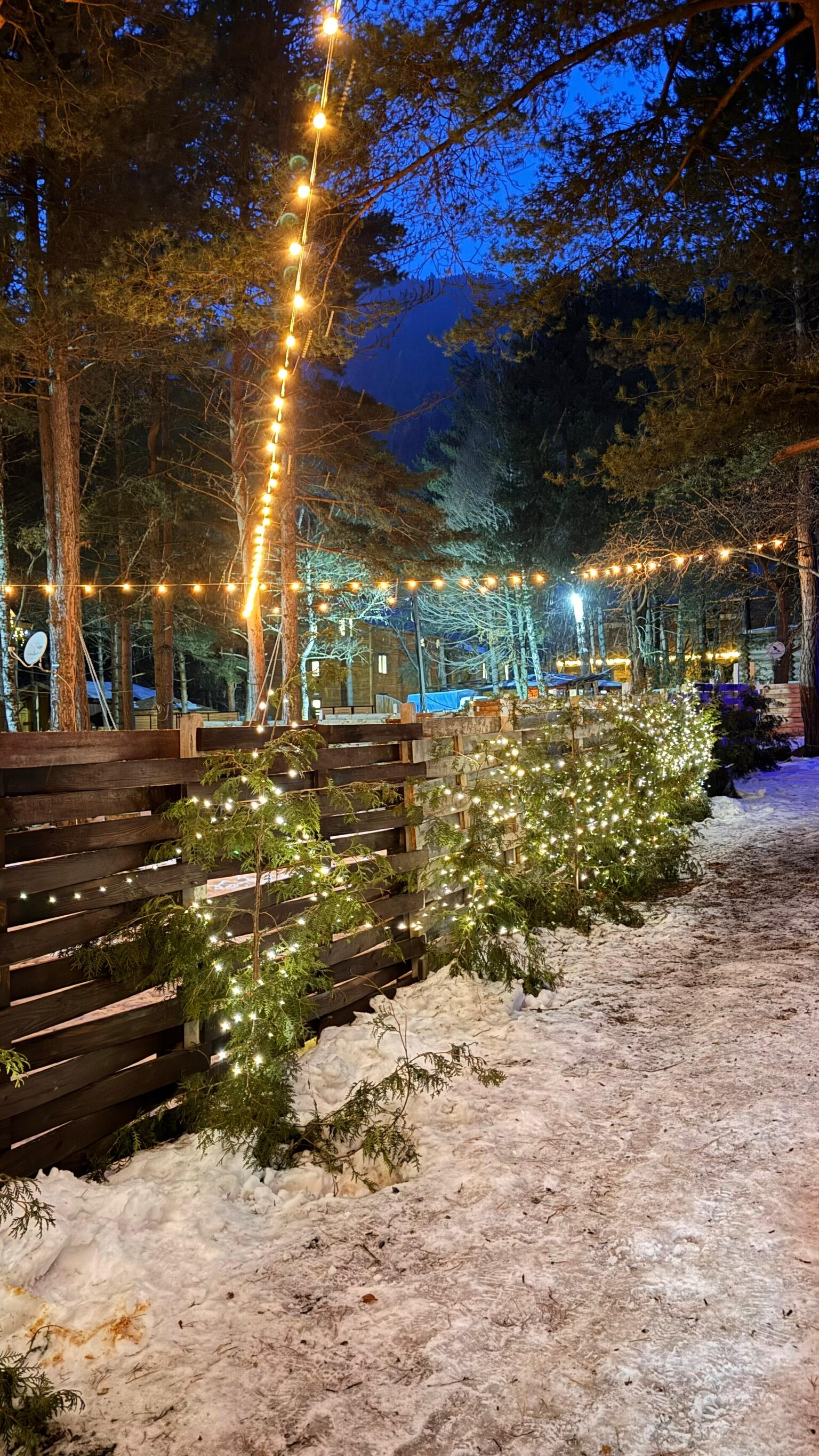 Фото Mountain House