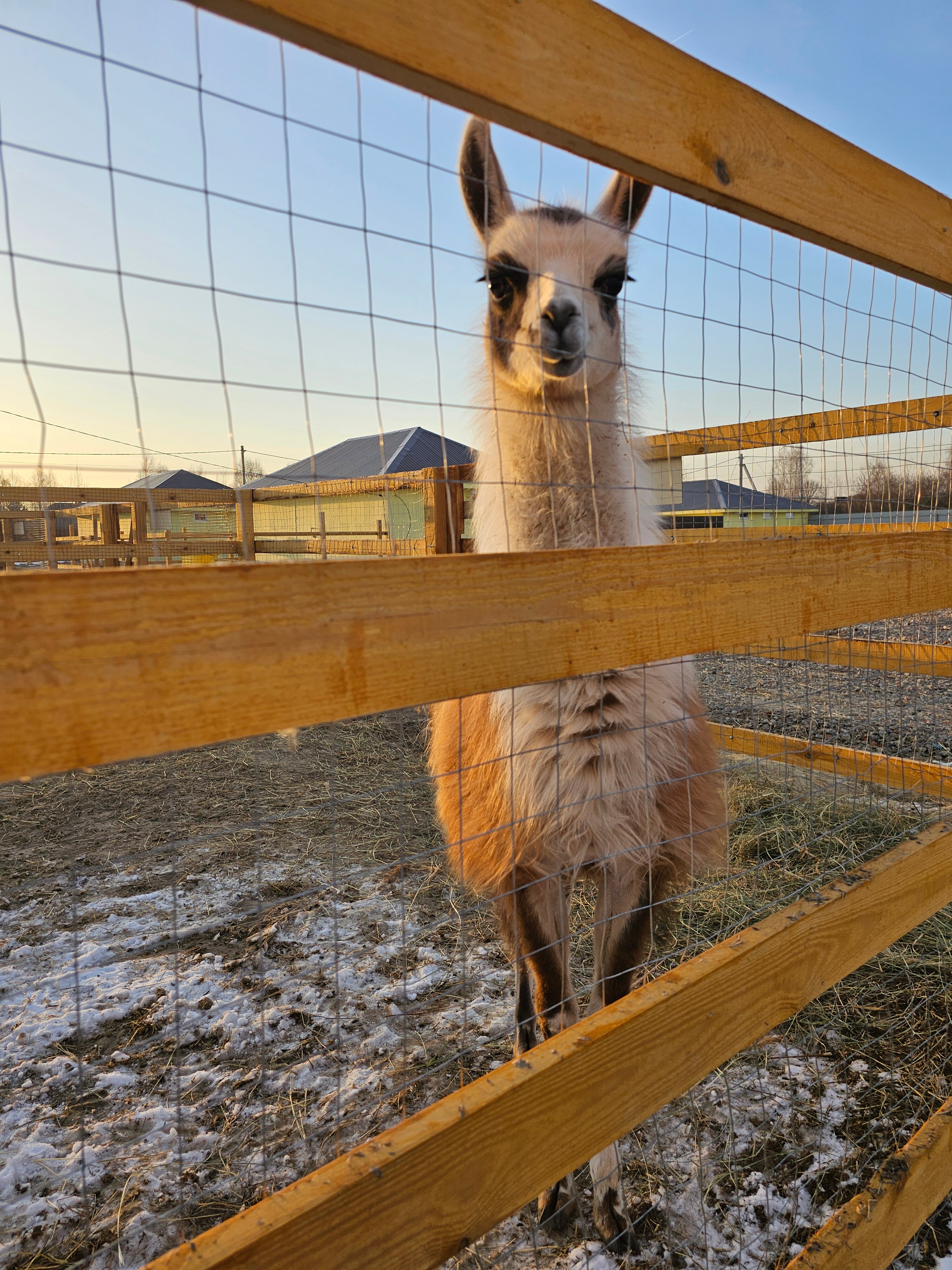 Фото БлагоДача