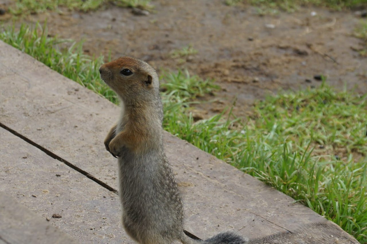 Фото АпачаКамТрэвел