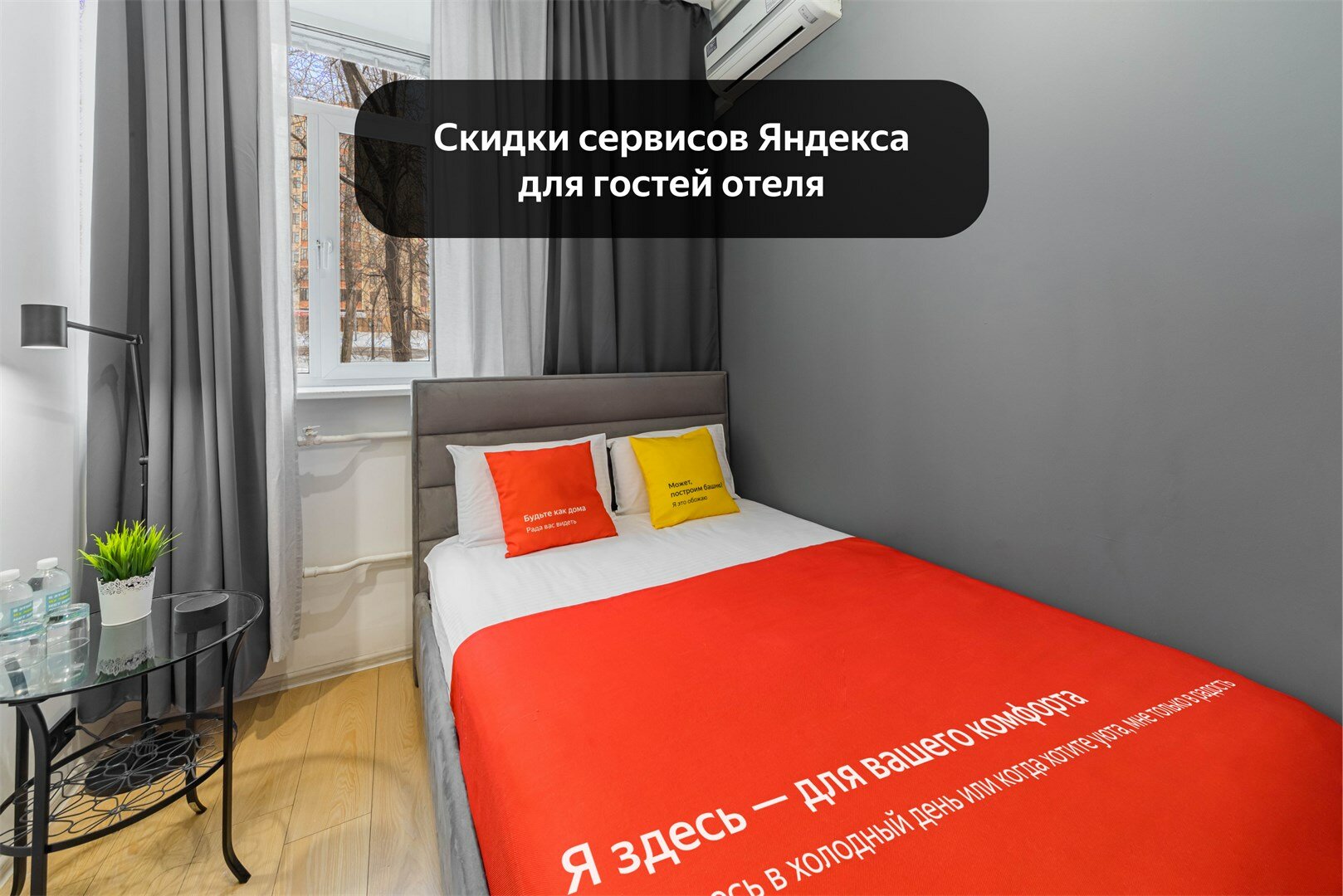 Фото Минима Динамо