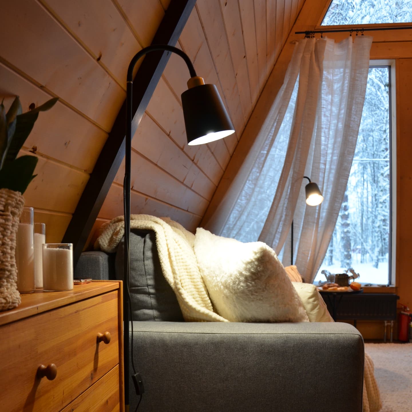 Фото Шишки Парк