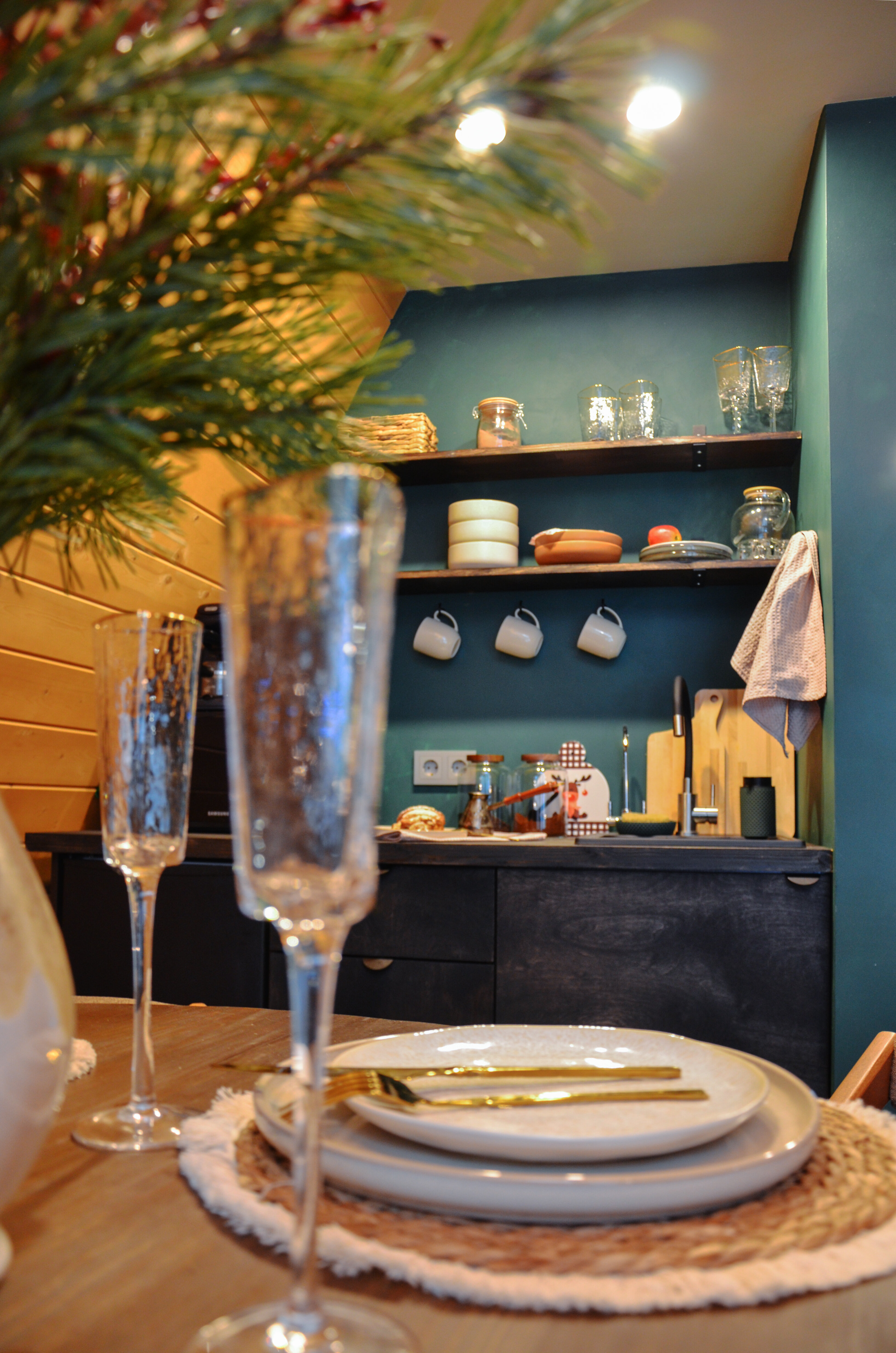 Фото Шишки Парк