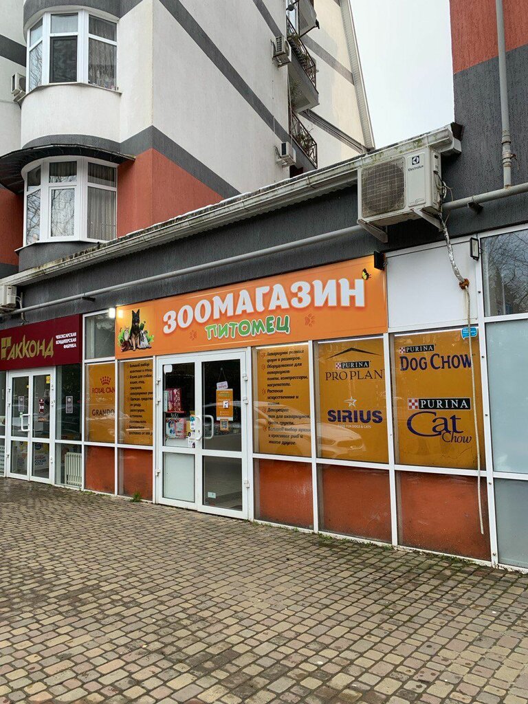 Power bank rental Energo, Sochi, photo