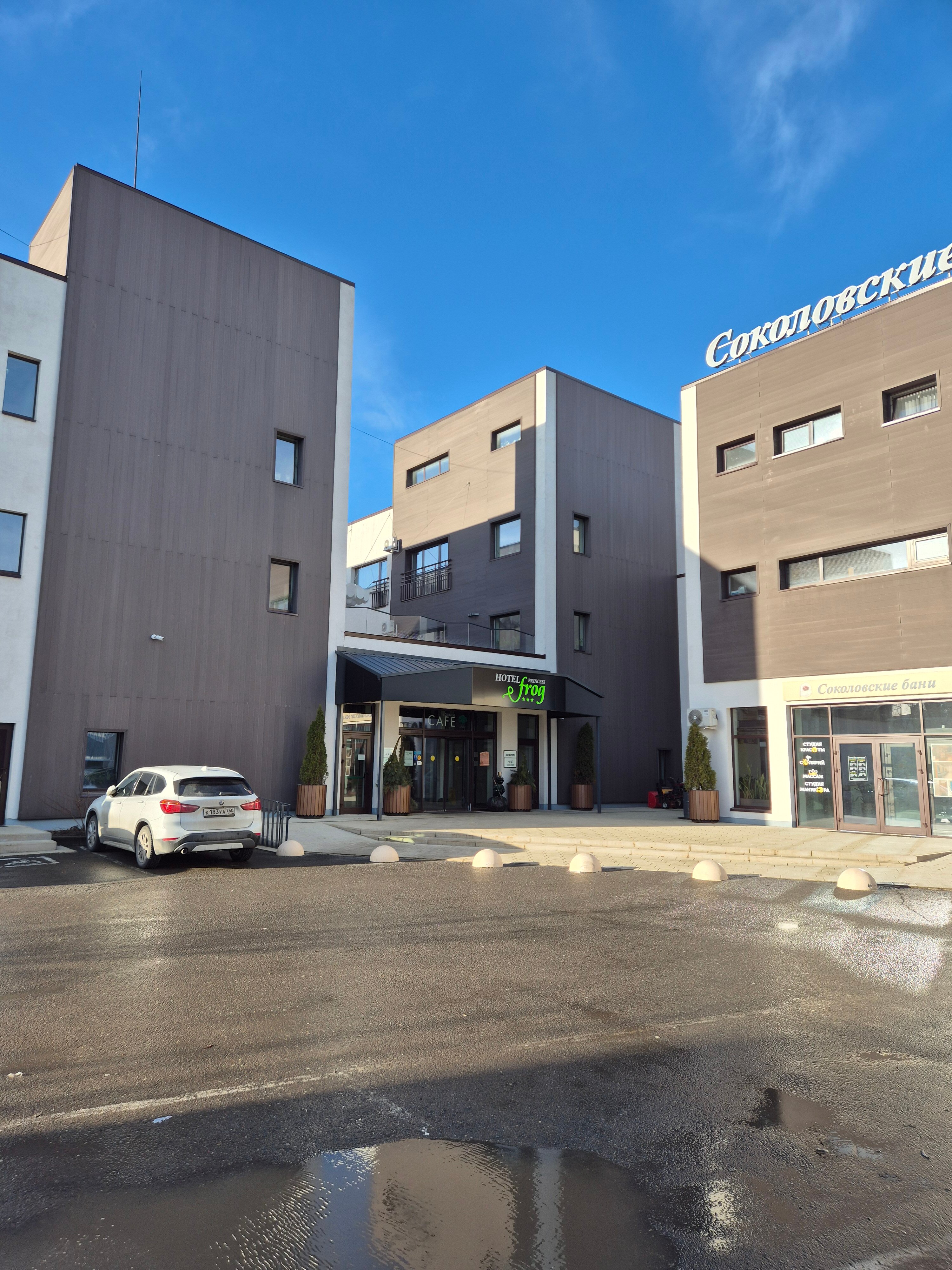 Фото Princess Frog