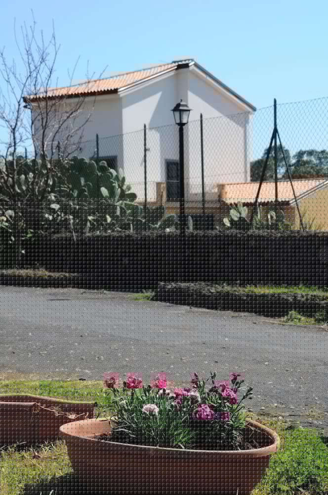 Фото La Circumetnea B&b